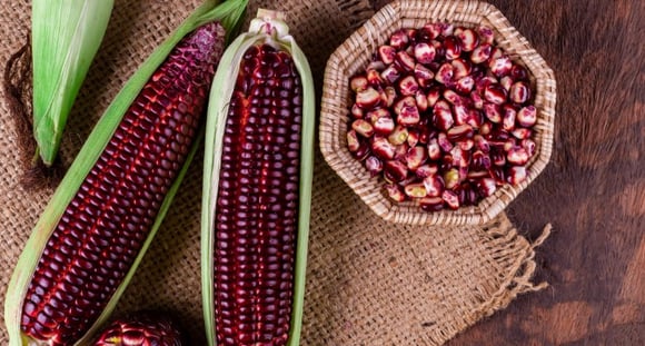 UNEA-5-datos-curiosos-sobre-la-gastronomia-mexicana